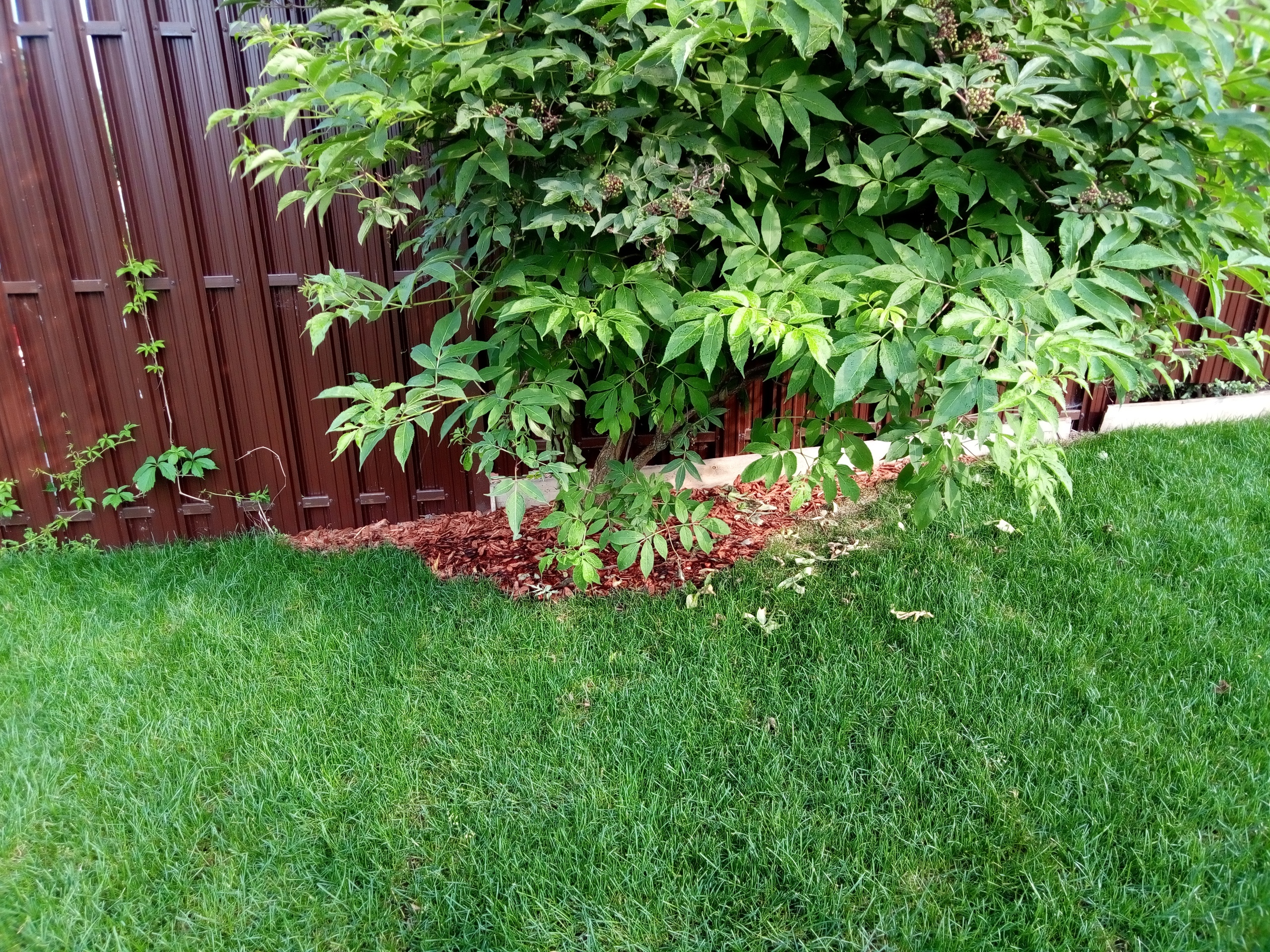 Частный дом, фото 2