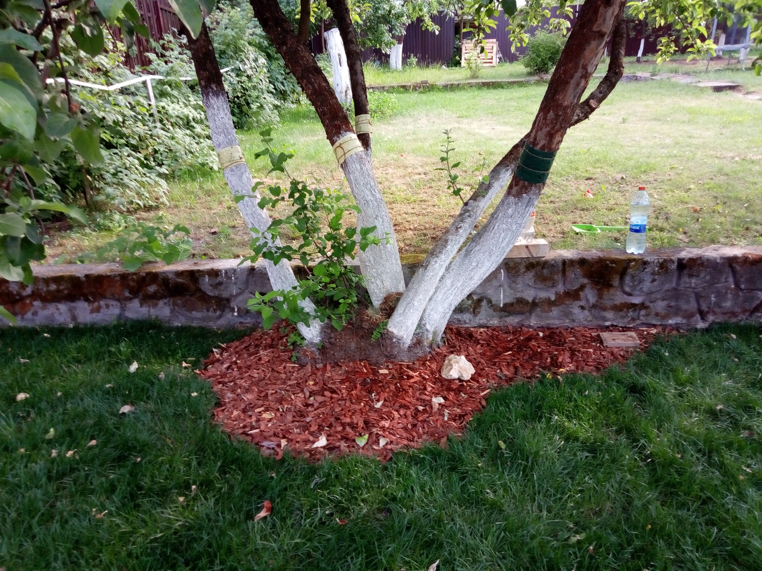 Частный дом, фото 8