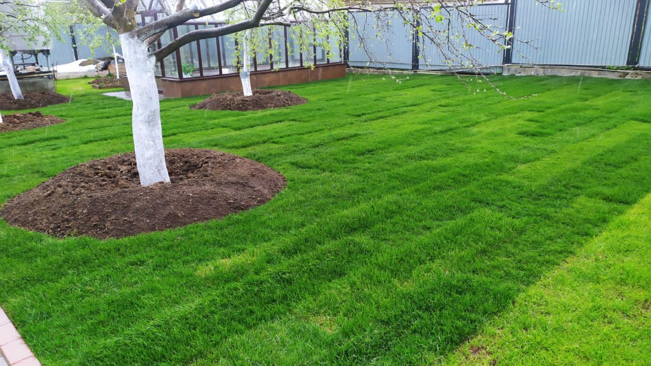 Ландшафтный дизайн, фото 3