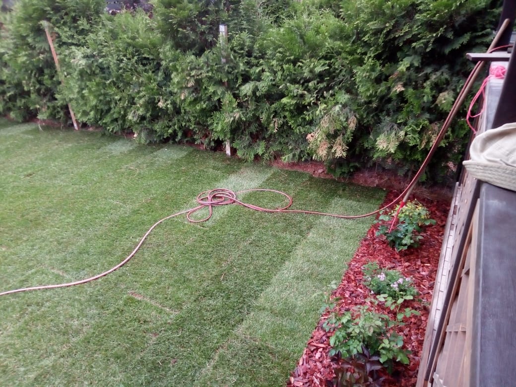 Посадка и укладка газона — фото 1