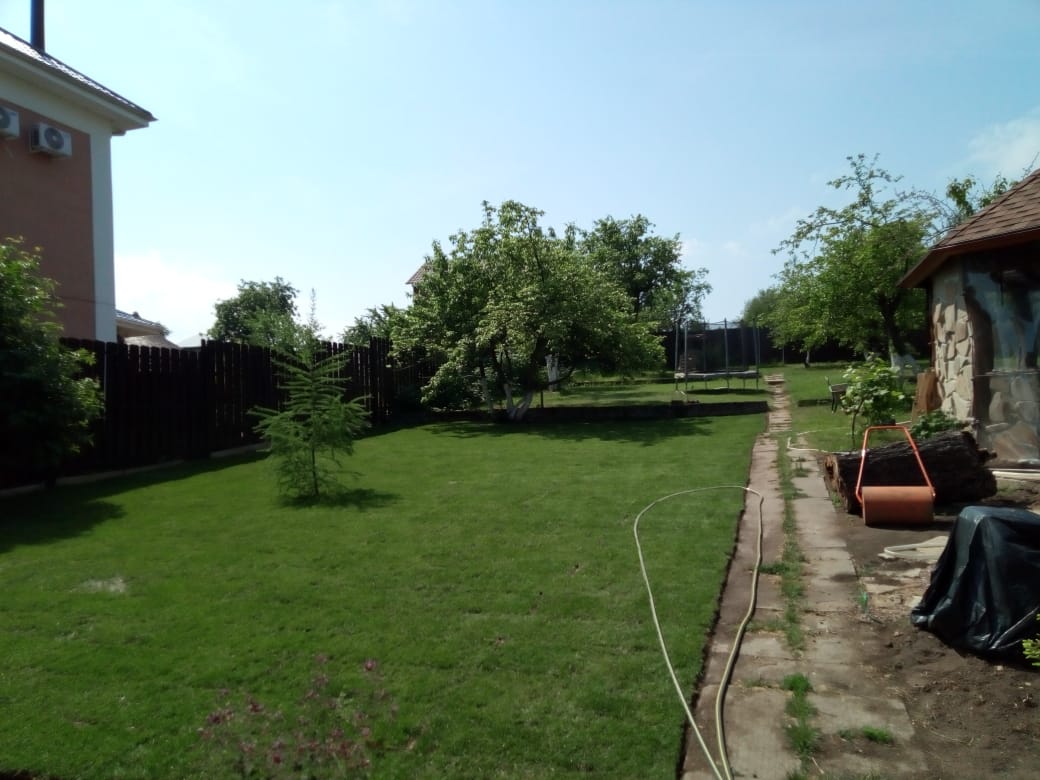 Посадка и укладка газона — фото 2