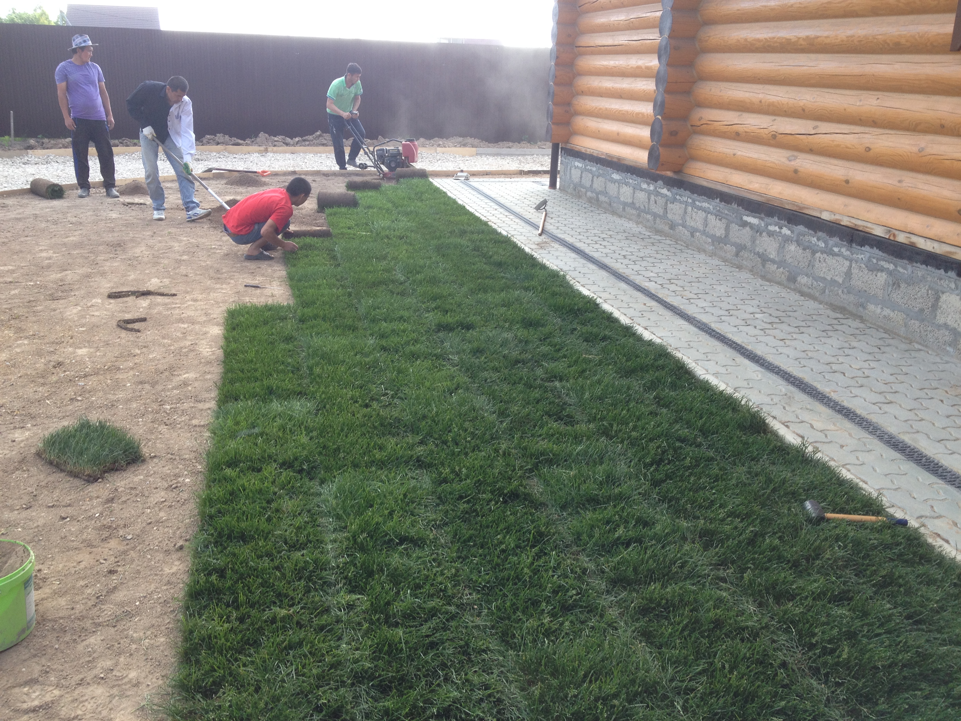 Посадка и укладка газона — фото 3