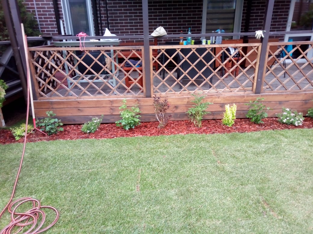 Посадка и укладка газона — фото 4