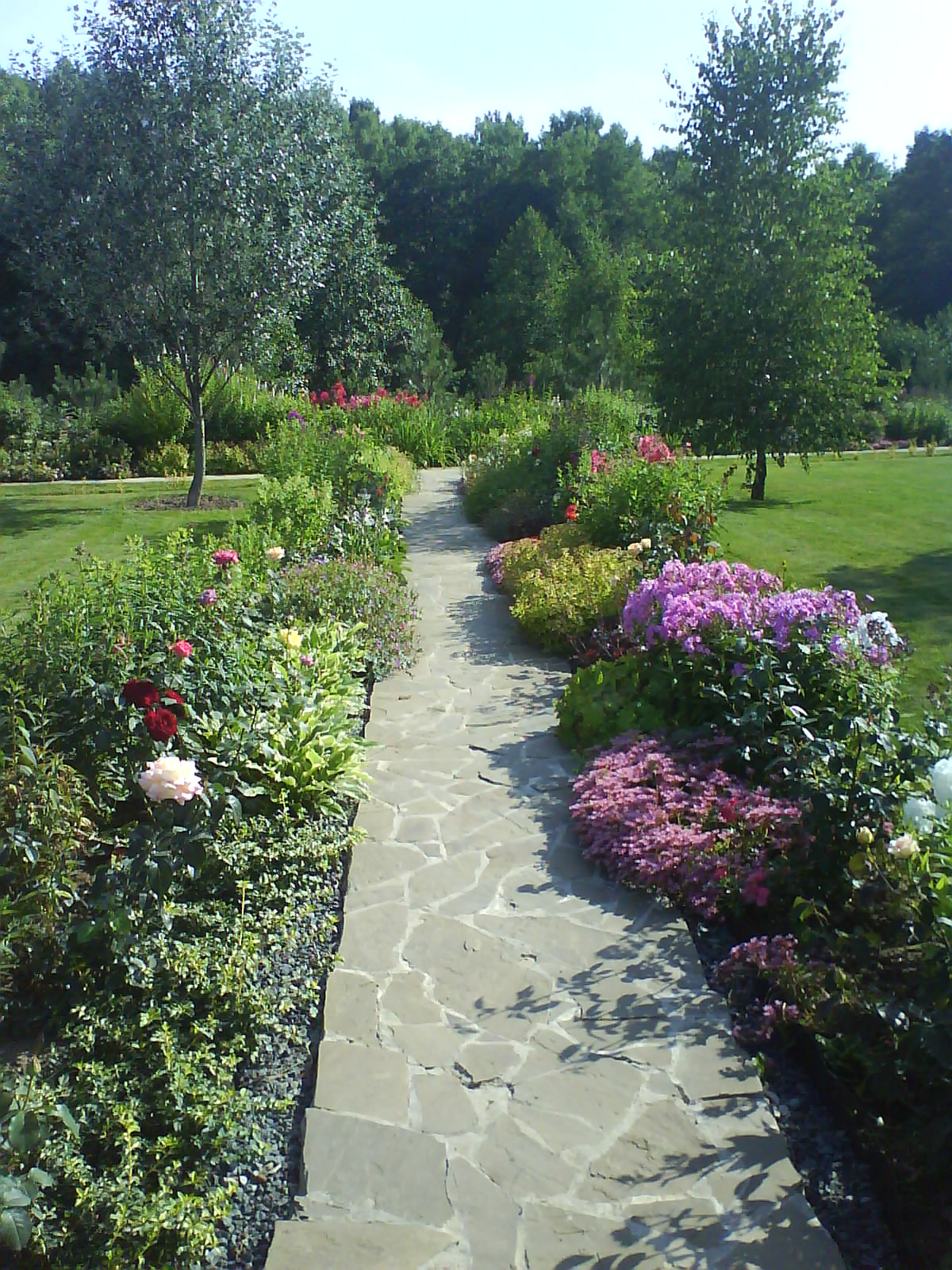 Садовые дорожки — фото 8