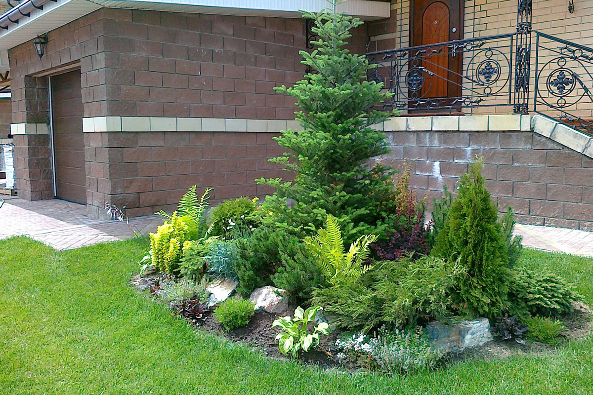 Посадка деревьев и кустарников — фото 1