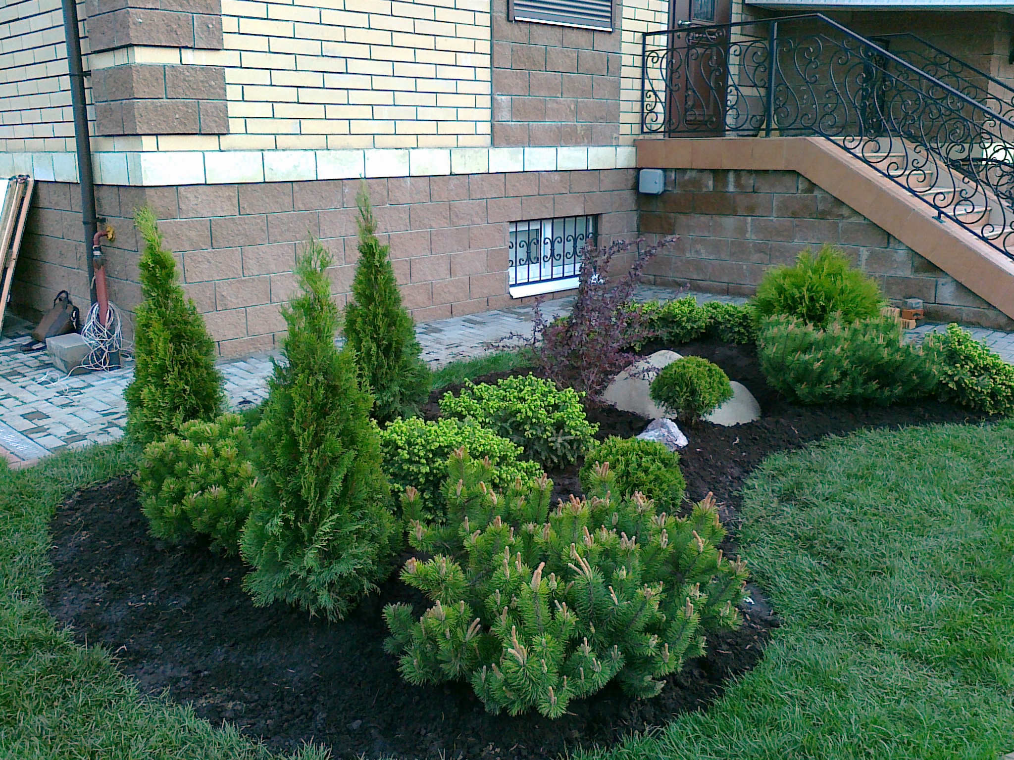 Посадка деревьев и кустарников — фото 7