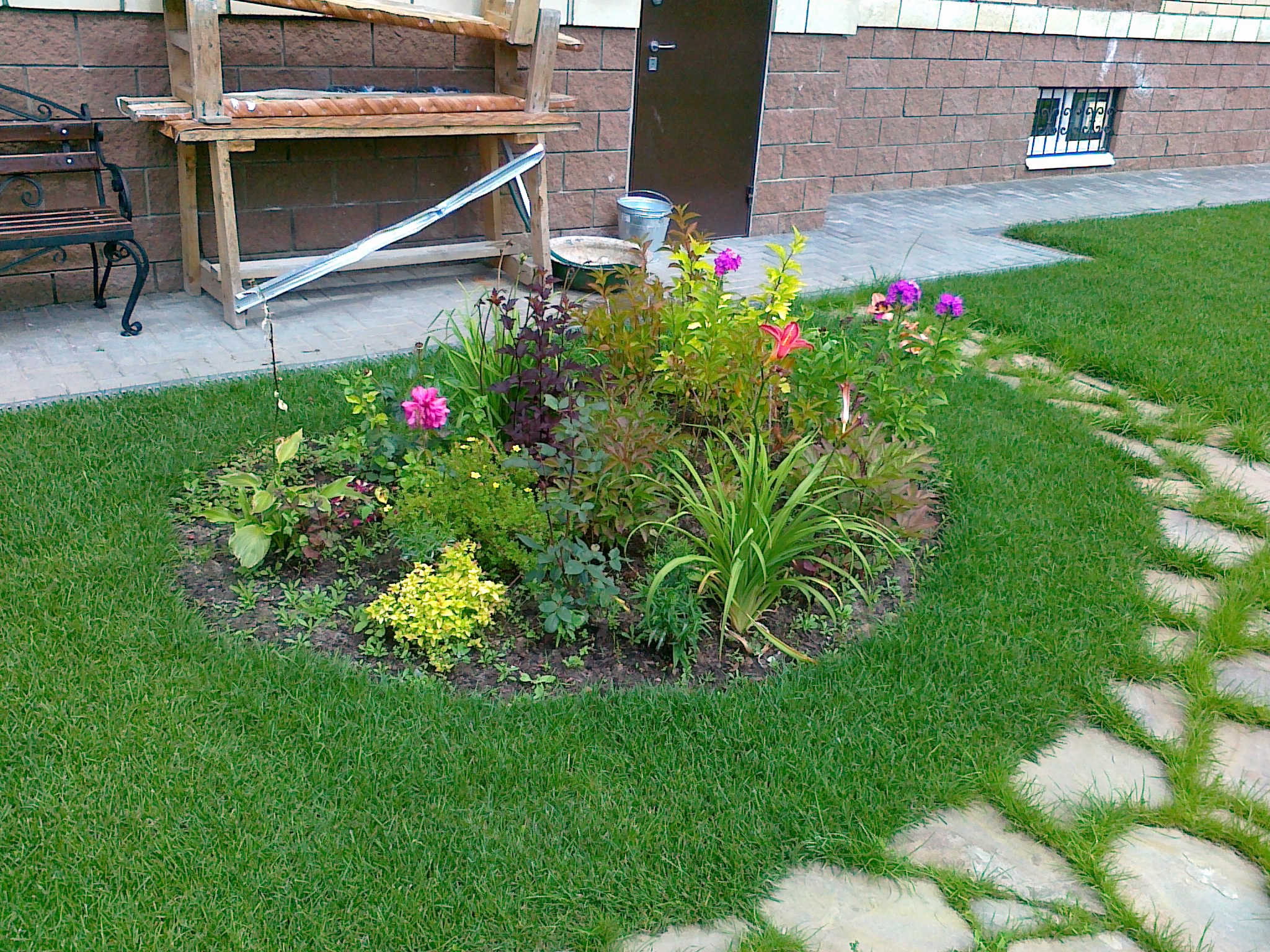 Посадка деревьев и кустарников — фото 10