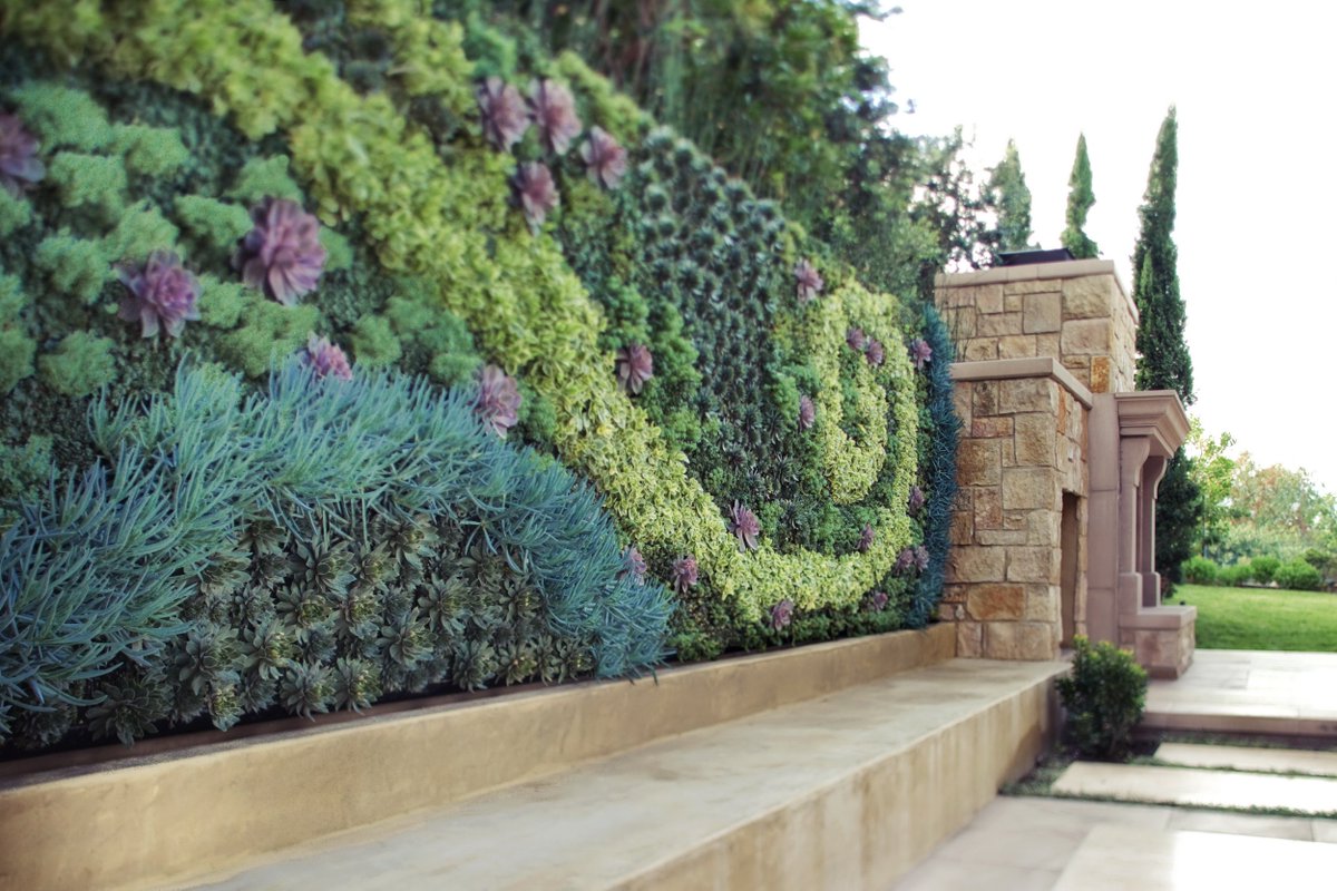 Вертикальное озеленение — фото 1